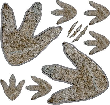 Dino Tracks, Baby Nursery Decals, Dinosaur Tracks, Floor Decals, Vbs 2023, Dinosaur Footprint, Dinosaur Theme Party, Paw Print Stickers, Floor Decal