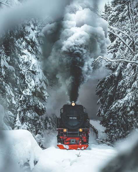 Steam train (Harz National Park, Germany) by Tom (@tom_juenemann) on Instagram ❄️🇩🇪🚂 Crismas Tree, Winter Szenen, Driving Home For Christmas, Whatsapp Wallpaper, Polar Express, Train Pictures, ��수채화 그림, Winter Scenery, Steam Trains