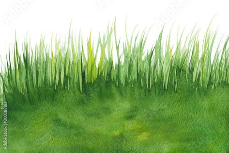 Stock Image: Abstract green like grass watercolor textured background on a white isolated background Art Dolls, Grass Watercolor, Watercolour Texture Background, Watercolor Images, Watercolor Texture, Green Grass, Green Thumb, Watercolour Painting, Textured Background