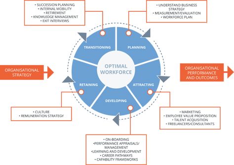 What is Talent Management and Why is It Important? | Expert360 Organization Development, Career Pathways, Employee Development, How To Motivate Employees, Employee Management, Succession Planning, Internal Communications, Talent Acquisition, Business Performance