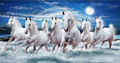 7 Running Horses Painting Vastu: Direction, Importance and Significance 7 Horses Running Painting Vastu Wallpaper, 7 Running Horses, Seven Horses Painting, 7 Horses, 7 Horse, Running Images, White Horse Painting, Horses Painting, Horse Canvas Painting