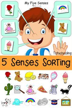 FREE printable Five Senses sorting activity for toddlers and preschoolers. Senses Sorting Activity, Five Senses Kindergarten, 5 Senses Preschool, 5 Senses Worksheet, Five Senses Worksheet, Five Senses Preschool, 5 Senses Activities, Senses Preschool, My Five Senses