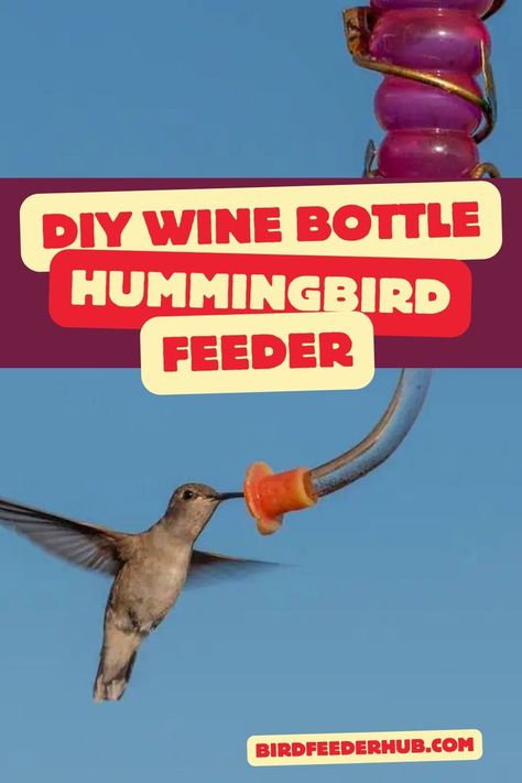 Did you know you can save your leftover wine bottles to make hummingbird feeder? It's easy to make these unique looking feeders, and easy to jazz them up with your own customizations. Follow our easy guide for this fun DIY project. Hummingbird Feeder Diy, Diy Wine Bottle Bird Feeder, Wine Bottle Hummingbird Feeder, Diy Hummingbird Feeder, Wine Bottle Bird Feeder, Diy Wine Bottle, Simple Diy Projects, Leftover Wine, Hummingbird Feeders