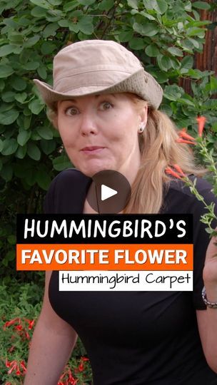 Hummingbird Carpet Plant, Hummingbird Carpet, Hummingbird Attracting, Plants To Attract Hummingbirds, Fruit Shrub, Perennial Garden Design, Fall Flowers Garden, Hummingbird Plants, Hummingbird Feeders
