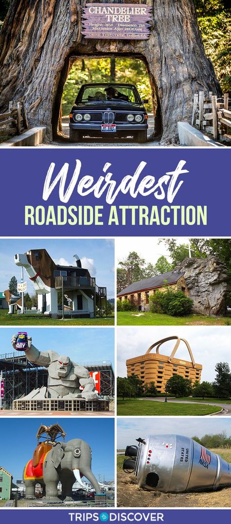 Summer is the perfect time to get behind the wheel, turn up the tunes, and discover things you never knew existed. After a thorough search of roadside attractions in every state, including some personally stumbled upon, this list of the most fun and unusual roadside attractions provides an easy way to plan your own memorable adventure. Road Trip Summer, Road Trip Across America, Adventure Bucket List, Vacation Usa, Grain Of Sand, Roadside Attractions, Road Trip Planning, Road Trippin, Road Trip Usa