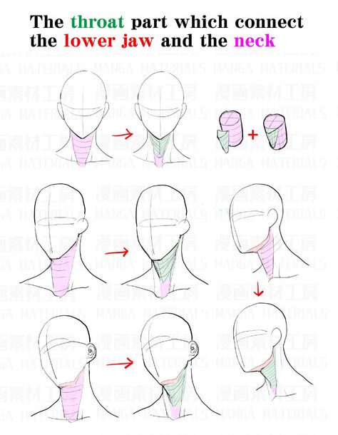 MangaMaterials＠TESCO on Twitter: "How to draw the neck : Awkward part and the correcting method②… " How To Draw Necks, Neck Reference, Manga Materials, Neck Drawing, Drawing Heads, Anatomy Sketches, Body Reference Drawing, Anatomy Drawing, Figure Drawing Reference