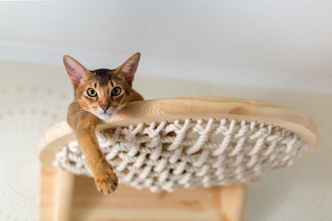 Ikea Hacks For Cats, Ikea Cat, Diy Cat Tower, Unique Cat Trees, Cat Climbing Shelves, Cat Tree Designs, Kat Diy, Chat Diy, Modern Cat Bed