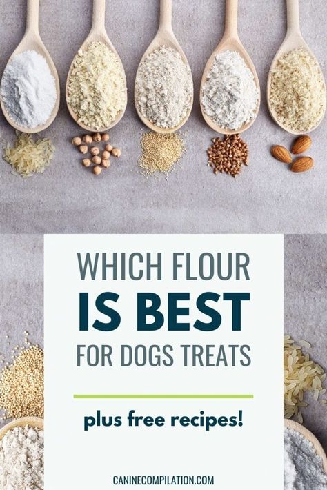 Organic Dog Treats Recipe, Natural Dog Treats Recipes, Grain Free Dog Treats Recipes, Healthy Homemade Dog Treats, Dog Treats Recipes, Dog Training Treats Recipe, Dried Dog Treats, Gluten Free Dog Treats, Soft Dog Treats