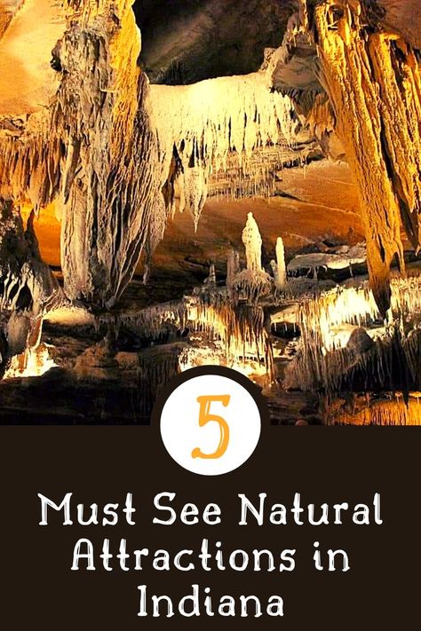 Looking for a last-minute summer trip or already planning for fall break? Check out these 5 natural attractions in Indiana. Nature, Indiana Fall Trips, Indiana Vacation, Movie Place, Secret Bar, Indiana Travel, Northern Indiana, Fall Break, Summer Trip