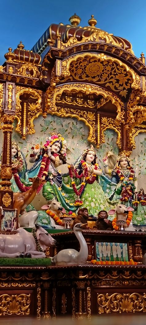 God, Radhakrishna, Beauty Krishna Or Radha, Iskon Krishna, Iskcon Chowpatty, Iskcon Krishna, Shri Radha, Hanuman Ji, Radha Krishna Images, Krishna Art, Krishna Images