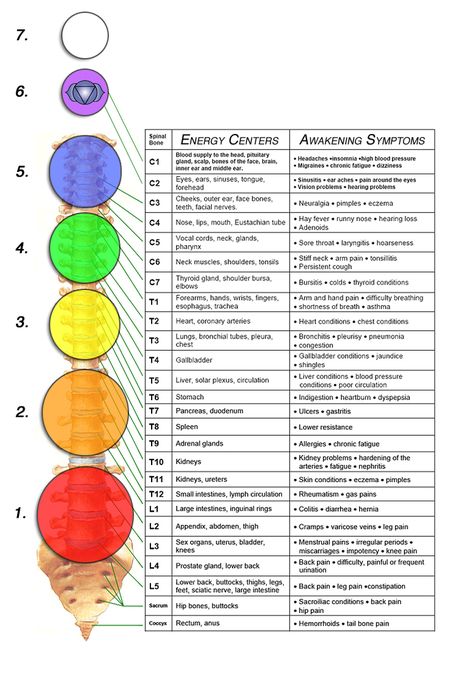 Chart depicting nervous system in relation to our Chakras, including physical symptoms that may be felt as spiritual awakening, our Chakras, and psychodynamic therapy, assist us during the healing process - sometimes known as "healing crisis" due to symptoms. Psychodynamic Therapy, Spiritual Awakening Stages, Body Dr, Sleep Better Tips, Healing Chakras, Body Chakras, Chakra Chart, Energy Psychology, Chakras Healing