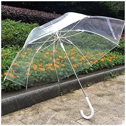 Clear Umbrella Wedding, Blue Orchid Flower, Transparent Umbrella, Uv Umbrella, Japanese Umbrella, Clear Umbrella, Cute Umbrellas, Wedding Parties Colors, White Umbrella