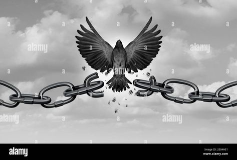 Download this stock image: Freedom metaphor as a symbol of liberty and as a concept of chains breaking as bird wings breaking free with 3D illustration elements. - 2E04HE1 from Alamy's library of millions of high resolution stock photos, illustrations and vectors. Chains Breaking, Freedom Symbol Tattoo, Free Bird Tattoo, Monument Ideas, Freedom Images, Freedom Drawing, Liberty Tattoo, Freedom Bird, Freedom Tattoos