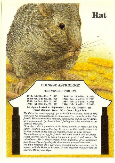 Aztec Astrology, African Astrology, Magick Tools, Egyptian Astrology, Ancient Astrology, Chinese Zodiac Rat, Indian Astrology, Astrology Meaning, Chinese Horoscope