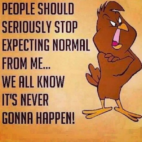 People Should Stop Expecting Normal From Me Pictures, Photos, and Images for Facebook, Tumblr, Pinterest, and Twitter Humour, Foghorn Leghorn, Stop Expecting, Clipuri Video, Diy Recycle, Food Diet, Holidays Christmas, E Card, Halloween Birthday
