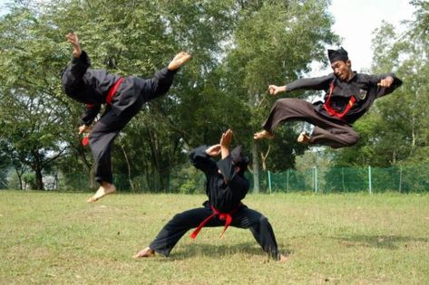 Sejarah Pencak Silat, Beladiri yang Sudah Dikenal Ratusan Tahun , Tahukah kamu bahwa sejarah pencak silat ini sudah ada sejak abad ke-7 M, tapi baru mengalami perkembangan pesat pada abad ke-14 M. , https://www.dailysia.com/sejarah-pencak-silat-beladiri-yang-sudah-dikenal-ratusan-tahun/ Action Pose Reference, Asia Tenggara, Pencak Silat, Pahlawan Super, Story Ideas Pictures, Sambo, Krav Maga, Action Poses, Art Poses