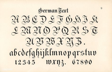 German style calligraphy fonts from Draughtsman's Alphabets by Hermann Esser (1845–1908). Digitally enhanced from our own 5th edition of the publication. | free image by rawpixel.com German Calligraphy, Alphabets Calligraphy, English Calligraphy Font, Free Cursive Fonts, Fonts Style, Calligraphy Letters Alphabet, Calligraphy Fonts Alphabet, English Calligraphy, Typography Alphabet