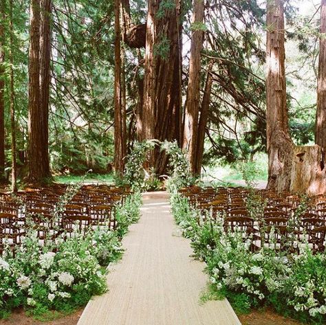 Redwood Wedding Ceremony, Romantic Candlelit Wedding, Santa Lucia Preserve, Wedding Locations California, Candlelit Wedding, Twilight Wedding, Forest Setting, Redwood Trees, Wedding Alters