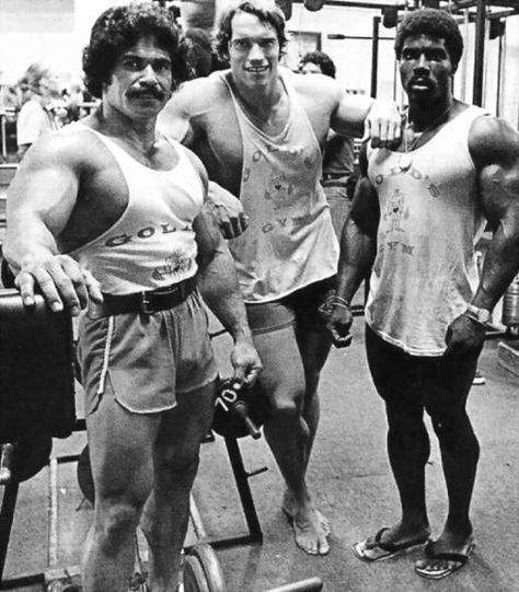 Ed Corney, Arnold Schwarzenegger and Robby Robbinson 70s Bodybuilding Aesthetic, Male Bodybuilders, Old Bodybuilder, Arnold Schwarzenegger Bodybuilding, Best Bodybuilder, Schwarzenegger Bodybuilding, Aesthetics Bodybuilding, Patrick Schwarzenegger, Bodybuilding Pictures