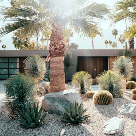 Palm Springs love - Before & After: Former Party Pad Becomes a Sleek Palm Springs Vacation Home - Sunset Cheap Landscaping Ideas For Front Yard, Cactus Garden Landscaping, Cheap Landscaping Ideas, Modern Front Yard, Modern Desert, Dry Garden, Front Yard Design, Desain Lanskap, Desert Garden