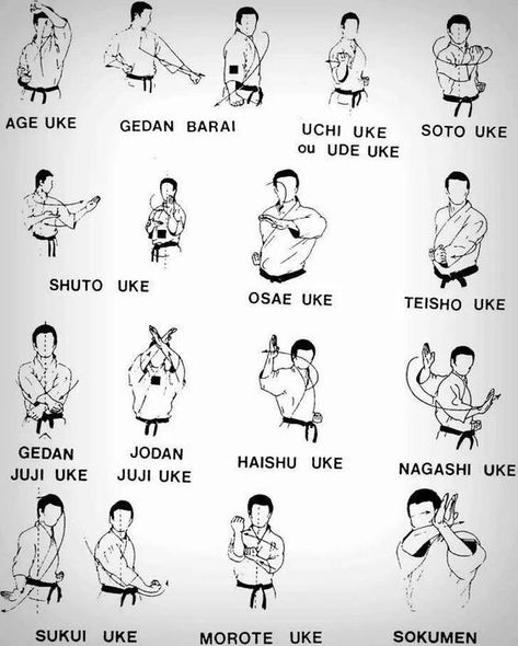 Karate Training Exercises, Karate Techniques, Wado Ryu Karate, Shotokan Karate Kata, Karate Quotes, Goju Ryu Karate, Karate Moves, Martial Arts Sparring, Karate Shotokan