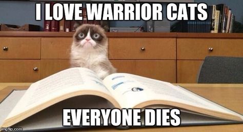 Warriors Memes, Warrior Cats Funny, Warrior Cat Memes, Warrior Cats Comics, Warrior Cats Series, Serval Cats, Herding Cats, Warrior Cats Books, Warrior Cats Fan Art