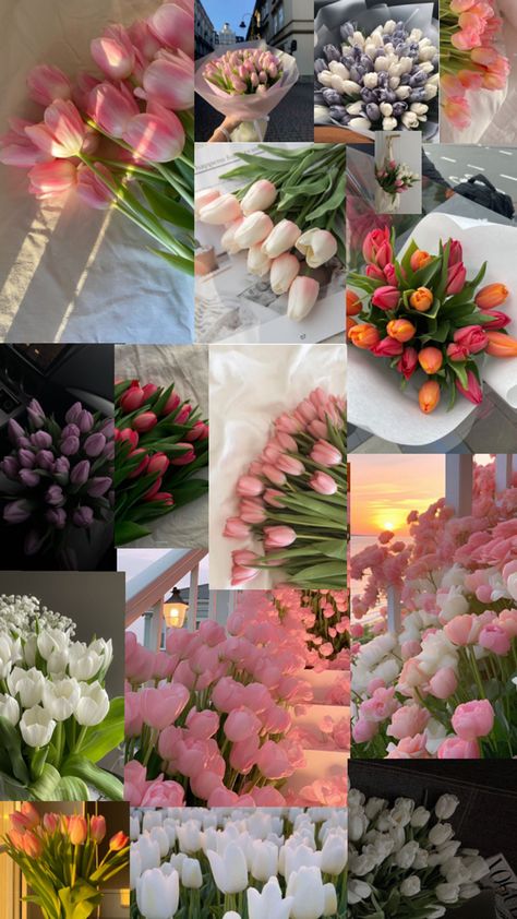 Flower/walpaper/collage Tulips Collage, Tulip Flower Pictures, Luxury Flower Bouquets, Very Beautiful Flowers, Flower Collage, Flower Gift Ideas, Boquette Flowers, Nothing But Flowers, Flowers Bouquet Gift