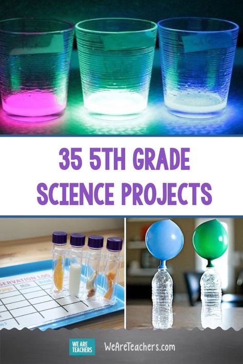 Easy Middle School Science Projects, Grade 4 Science Fair Projects Ideas, Science Fair Project 3rd Grade, Year 5 Science Experiments, Stem Fair Project Ideas For 5th Graders, Class Science Fair Projects, Ideas For Science Fair Projects, 3rd Grade Projects Fun, Science Fair Projects 3rd Grade Ideas