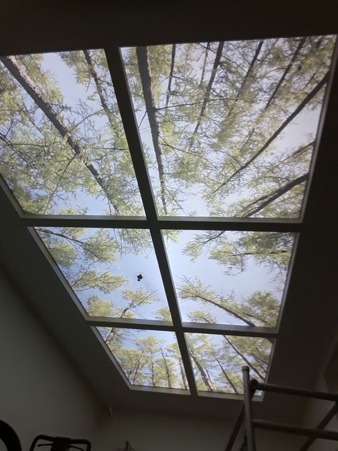 Terrace False Ceiling Design, Stretch Ceiling Design Modern, Stretch Ceiling Design, Theater Ceiling, Cloud Ceiling, Roof Skylight, Skylight Design, Glass Canopy, Stretch Ceiling