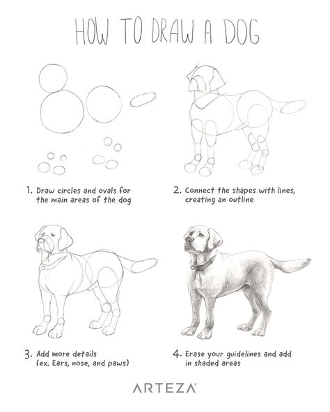 Want to learn how to draw a realistic dog? See how you can make an easy drawing of a dog with this simple step-by-step.  Artist Credit: Arteza Team Simple Dog Drawing, Dog Sketch Easy, A Dog Drawing, Dog Drawing Tutorial, Dog Drawing Simple, Draw A Dog, Dog Steps, Dog Sketch, Drawing Simple