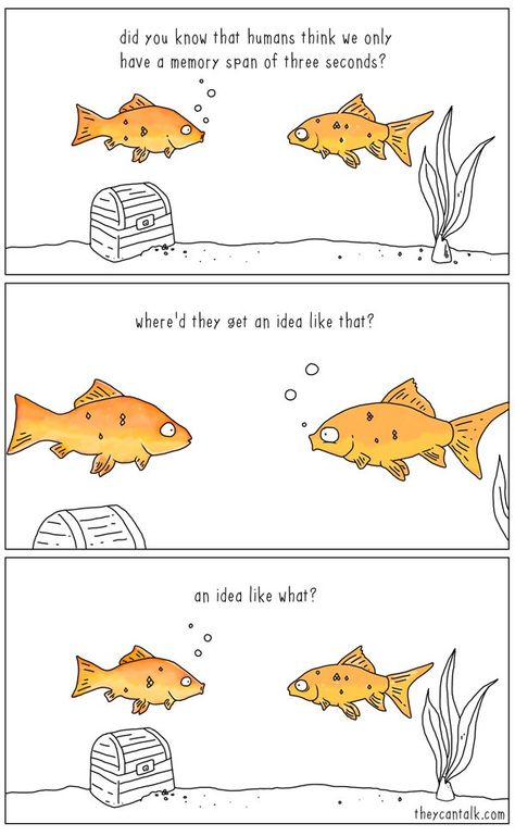 Actually, goldfish can remember a lot Funny Animal Comics, Funny Dog Pictures, Short Funny Comics, 4 Panel Life, Cartoon Strip, Funny Relationship Quotes, Funny Illustration, Funny Relationship, Cute Comics