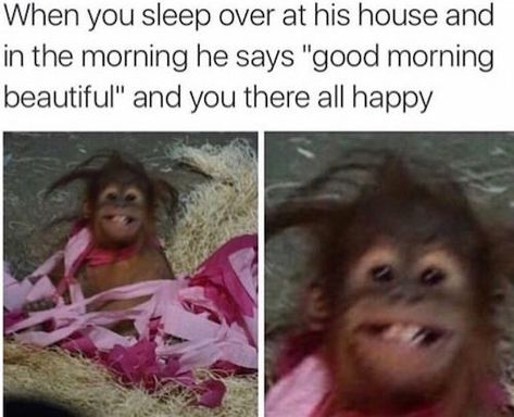 25 Random Memes That'll Tickle Your Funny Bone Gym Memes, Raccoon Eyes, Best Girlfriend Ever, Happy Memes, Couple Memes, Bed Hair, Valentines Day Memes, Funny Relationship Memes, Boyfriend Memes