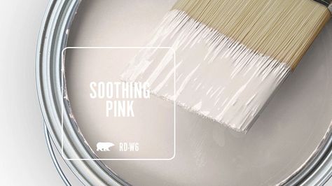 SOOTHING PINK RD-W6 | Behr Paint Colors Light Pink Behr Paint, Behr Pale Pink Paint Colors, Behr Pink Sea Salt, Pink Gray Paint Color, Antique Rose Paint Color, Pink Paint Nursery, Behr Blush Pink Paint Colors, Pink Behr Paint Colors, Behr Pink Paint Colors