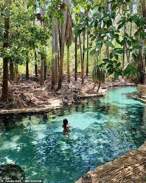 Aussie travellers rediscover healing blue waters of Mataranka Thermal Pools in Elsey National Park | Daily Mail Online Nature, Northern Territory Australia, Thermal Pool, Swimming Hole, Thermal Spring, Northern Territory, Swimming Holes, Beautiful Scenery Nature, Turquoise Water