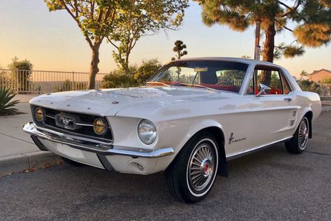 For Sale: 1967 Ford Mustang Coupe (white, A-Code, 289ci V8, 3-speed auto) 1990 Cars, Ford Mustang 1967, Truck Accessories Ford, Studebaker Trucks, 1967 Mustang, Ford Mustang Coupe, Old Vintage Cars, Tesla Car, Truck Drivers