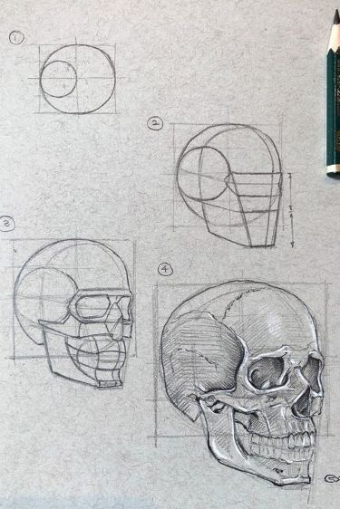 Skull Drawing Sketches, Skull Sketch, Skeleton Drawings, Skull Art Drawing, Výtvarné Reference, Skulls Drawing, Human Anatomy Art, Human Head, Sketches Tutorial