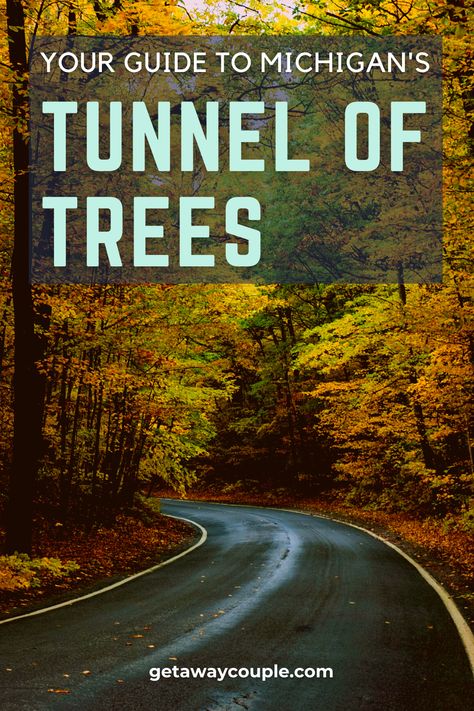 Tunnel Of Trees Michigan Fall, Michigan Tunnel Of Trees, Tunnel Of Trees Michigan, Tunnel Of Trees, Traveling Circus, Tree Tunnel, Usa Trip, Fall Road Trip, Top Places To Travel