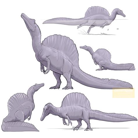 Gabriel N. U. on Twitter: "Last night after seeing @skeletaldrawing new Spinosaurus skeletal, I had to quickly sketch it #paleoart #sciart #dinosaurs… https://t.co/pR5nAMe2xf" Croquis, Prehistoric Animals Dinosaurs, Dinosaur Sketch, Sketch It, Prehistoric Wildlife, Dinosaur Images, Dinosaur Drawing, Dinosaur Pictures, Jurassic World Dinosaurs