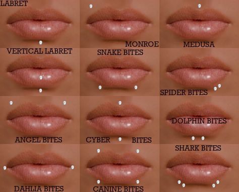 Pin on designs Lip Piercing Chart, Mouth Piercings Chart, Mouth Piercings Lips, Facial Piercings Chart, Face Piercings Chart, Unique Piercings Face, Cute Facial Piercings, Face Peircings, Lip Peircings