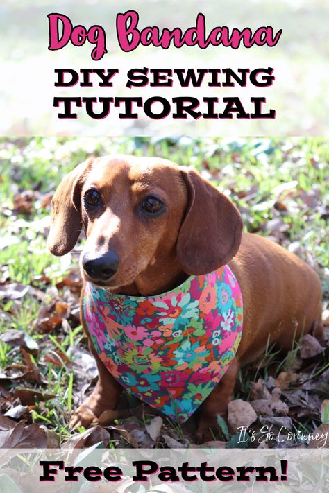 Couture, Diy Dog Handkerchief, See Kate Sew Dog Bandana, Dog Bandana Free Pattern Printable, Diy Doggie Bandana Free Pattern, Dog Bandana Template Free Pattern, Bandanas For Dogs Diy Free Pattern, Dog Neckerchief Pattern Free, Reversible Dog Bandana Pattern