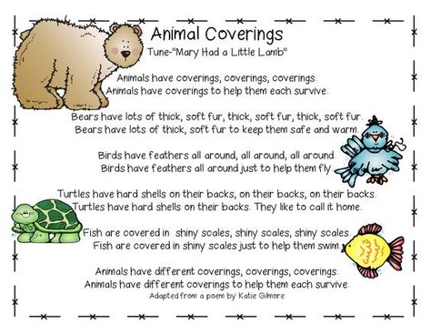 Song, "Animal Coverings" from Cross Curricular Unit on What & How Animals Eat, Animal Coverings & How Animals Move (free; from First Grade Wow): Kindergarten Science Lessons, Animal Coverings, Grade 2 Science, Animal Poems, Worksheet For Kindergarten, Kindergarten Songs, Classroom Songs, Animal Classification, Animal Adaptations