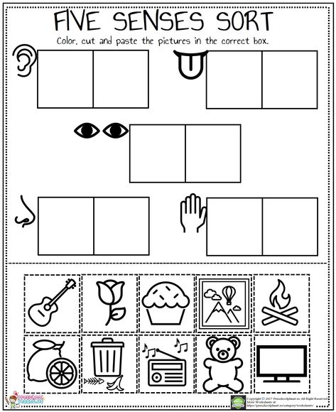 Number 4 Find And Color Worksheet – Preschoolplanet Number 4 Worksheet, 5 Senses Craft, 5 Senses Preschool, Five Senses Worksheet, Five Senses Preschool, Find And Color, 5 Senses Activities, Color Worksheet, Senses Preschool
