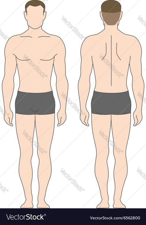 It's pretty simple but it looks good. Croquis, Figurine, Mens Figure Illustration, Body Template Male, Male Body Illustration, Croquis Men, Men Figure Drawing, Man Body Sketch, Men Croquis