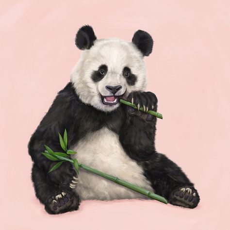 Modern painterly style panda sitting on a neutral hand painted background. Good artwork for nursery Panda Eating Bamboo, Breakfast Art, Panda Eating, Panda Painting, Kids Artwork, Baby Panda, Panda Bear, Society6 Art, Meet The Artist
