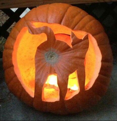 Incredible Carved Pumpkins That Deserve an Award – Page 3 Carving, A Pumpkin, Pumpkin Carving, A Cat