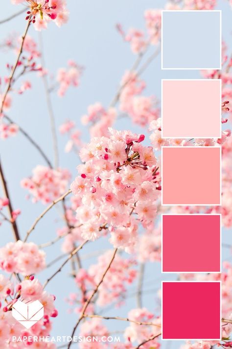 Fantastic Free of Charge Color Palette spring Ideas Regardless of whether you happen to be newbie or an oldtime fretting hand, guidelines for color is d #Charge #Color #Fantastic #Free #Ideas #Palette #spring Blush Pink Palette Color Schemes, Blue Pink Pallette, Late Spring Color Palette, Current Color Trends 2023, Colors Of Pink Shades, Pink Spring Color Palette, Colors That Go With Blush Pink, Pink And Blue Pallet, Muted Color Combos