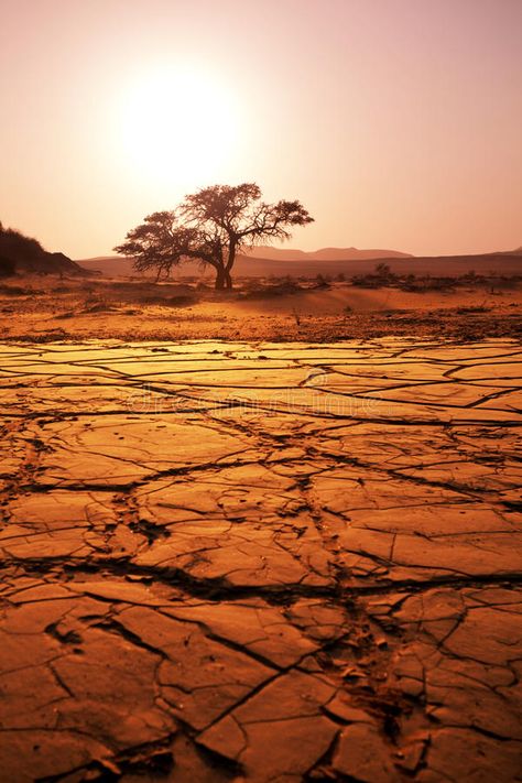 Drought Aesthetic, Drought Landscape, Desert Texture, Namibian Desert, Desert Images, Africa Desert, Namibia Desert, Desert Wanderer, Desert Rocks