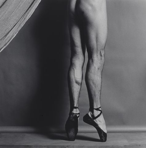 Robert Mapplethorpe. Phillip. 1979. Gelatin silver print. 14 × 14" (35.6 × 35.6 cm). The Family of Man Fund. 66.2016. © 2021 Robert Mapplethorpe Foundation. Photography Robert Mapplethorpe, Mapplethorpe Photography, Patti Smith Robert Mapplethorpe, Robert Mapplethorpe Photography, Foundation Photography, Leg Reference, Susan Sontag, Louise Bourgeois, Vegetable Nutrition