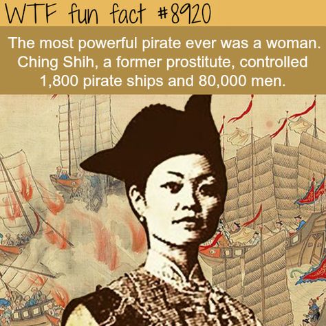 Humour, Strange History, Ching Shih, Ac New Leaf, Love Your Enemies, History Nerd, Psychology Quotes, History Humor, History Memes
