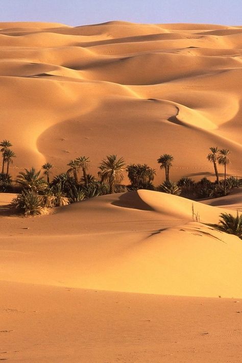 Sahara Desert Wallpaper تاج محل, Africa Nature, Timur Tengah, Seni Arab, Desert Places, Deserts Of The World, Desert Photography, Desert Dream, Desert Life